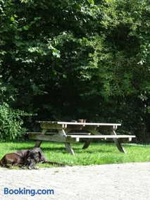 B&B Aan de Vaart - Image 5