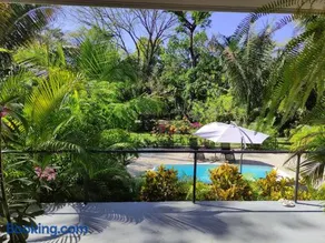 House in the palm forest - Image 5