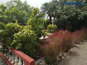 Villa La Victoria - Image 2