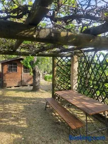 Un havre de paix à 30 min de Nice, jardin privé - Image 4