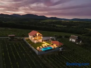 Private Vineyard Villa with Heated Pool, Spa & BBQ by Destination GREEN Croatia - Image 1