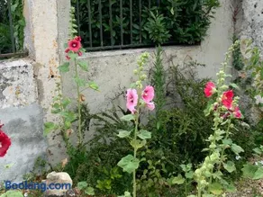 Gite VILLENEUVE LA COMTESSE - Image 4