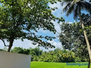 Villa Coconut Tree - Image 3