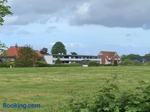 Küstenläufer - Image 5