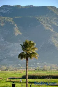 Finca Bellas Vistas - Image 5