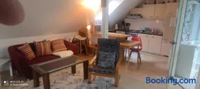 Beinheim agréable studio 45 m² - Image 3