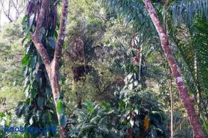 Finca LOS 4 VIENTOS - Image 3