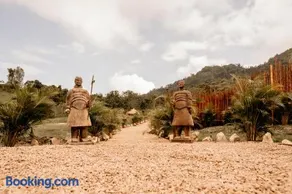 Saccharum - Image 5