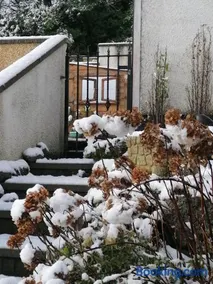 Carlingford Mountain and Sea Views - Image 2