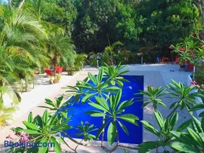 Blanconejo de Montezuma - Image 1