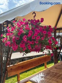 Suite Val di Sole - Image 5