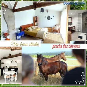 Studio du domaine équestre B & G - Image 1