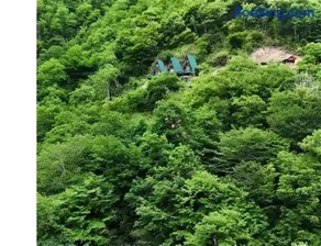 Lugela-Ghunji Cottages - ლუგელა-ღუნჯის კოტეჯები - Image 1