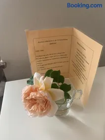 Eifelliebe - Image 4