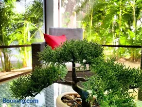 COZY AND SPACIOUS JUNGLE CONDO Located in TAO - Image 2