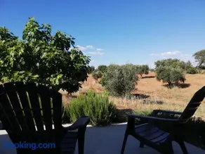 Burrico D`Orada - Rural Stays & Wine Country Tours - Image 2
