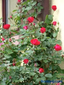 Chambres D'hotes Du Vignoble - Image 1