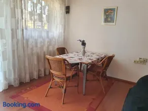 Ferienwohnung am Rauenhübel - Image 1