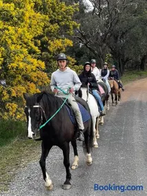 High country trail rides & farmstay - Image 4