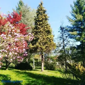 Takovo - odmor u selu - Image 4