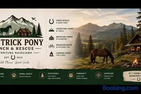 The Cowboy Bunkie - Image 3