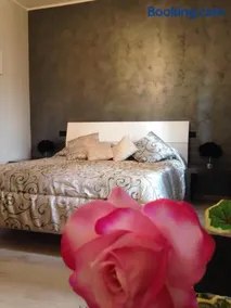 B&B Oro Puro - Image 4