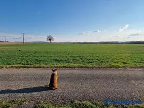 Maison de campagne avec bain nordique - Image 2