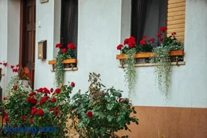Stol Apartments - Image 3