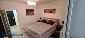 Apartament cu 1 camera spatios ,luminos . - Image 1