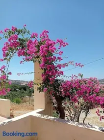 Βίλα για μεγάλες παρέες και οικογένειες - Image 4
