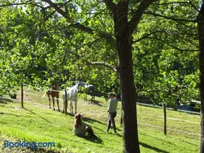 Les Grillons du Morvan - Image 4