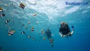 Eden Blue - Image 3