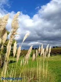 Les sources du vignoble - Image 3