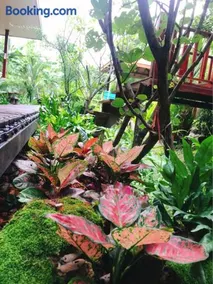 88 Homestay - Image 2