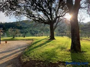 Podere Montaione - Image 4