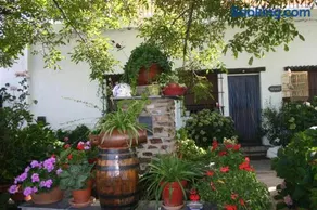 Apartamentos y Casas Rurales Las Terrazas de la Alpujarra - Image 1