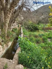 Finca Ana Maria - Maisons d'hôtes rurales avec piscine, au coeur de l'Andalousie et proches de la mer - Image 3