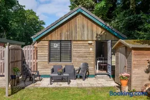 Vakantiehuis Duin Bos en Zee - Image 1