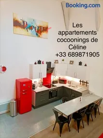 Superbe appartement type loft en duplex rue Buat - Image 2