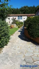Lady Frantoio Toscano - Image 3