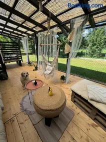Tiny House v Balijském stylu v srdci Slovácka - Image 2