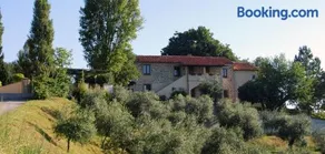 Casale degli ulivi - Image 5