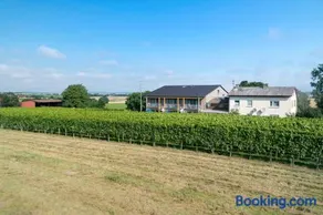 Winzerhof Schmid - Image 1
