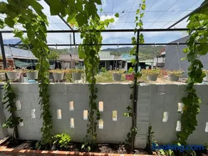 BÌNH MINH homestay - Vĩnh hy - Image 5