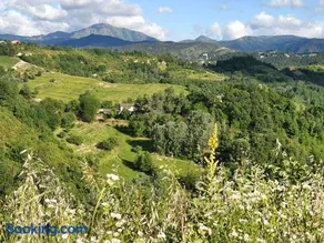 Agriturismo Il Burlino Apartments - Image 2