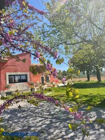Villa avec Pool House au cœur des vignes - Lubéron - Image 4