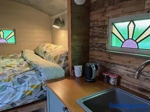 Bowhayes Farm - Camping & Glamping - Shepherd's Hut 'Pippin' - Image 5