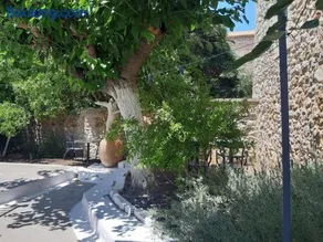 Villa Avli - Image 2