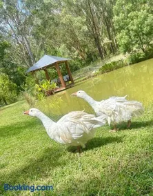 Wollombi Country House and Gardens - Image 3