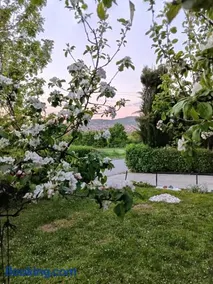 Mitrovića kuća - Image 2